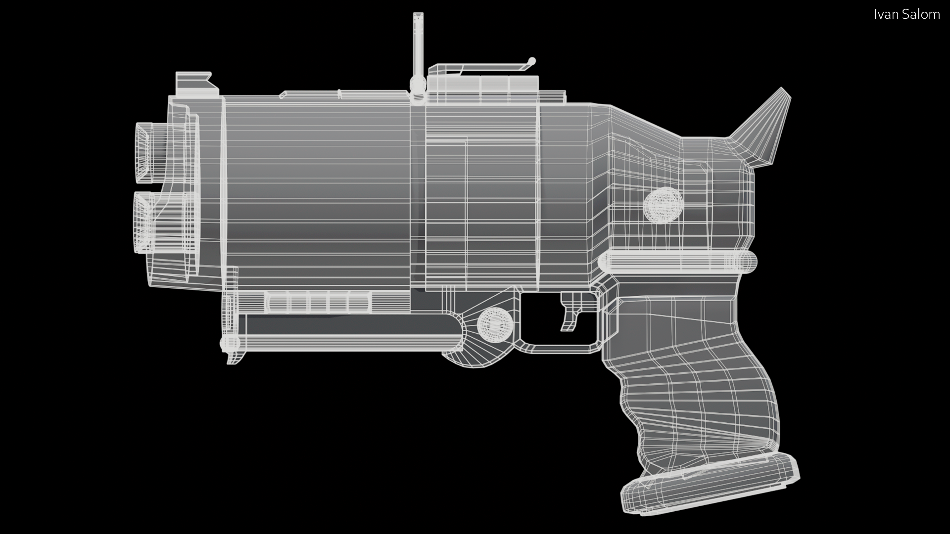 Portfolio Item